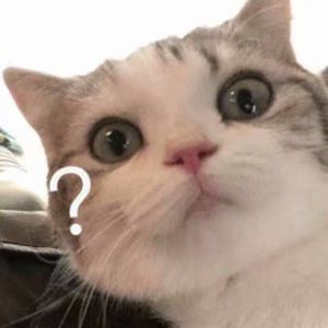 胡秀英一夜高潮10次
